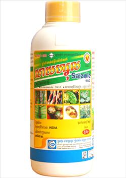 សាយហ្សុល 5SC